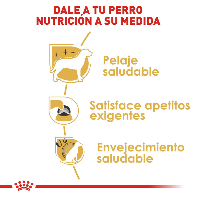 Royal Canin Yorkshire Terrier Adulto 1.13kg - Alimento Seco Yorkshire Terrier Adulto