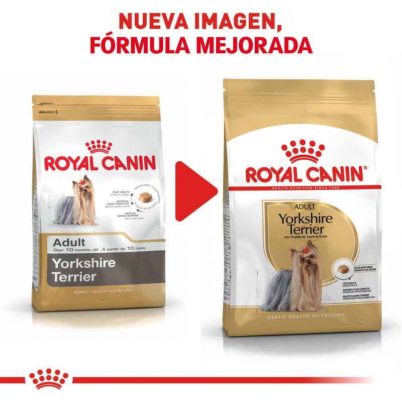 Royal Canin Yorkshire Terrier Adulto 1kg - Alimento Seco Yorkshire Terrier Adulto