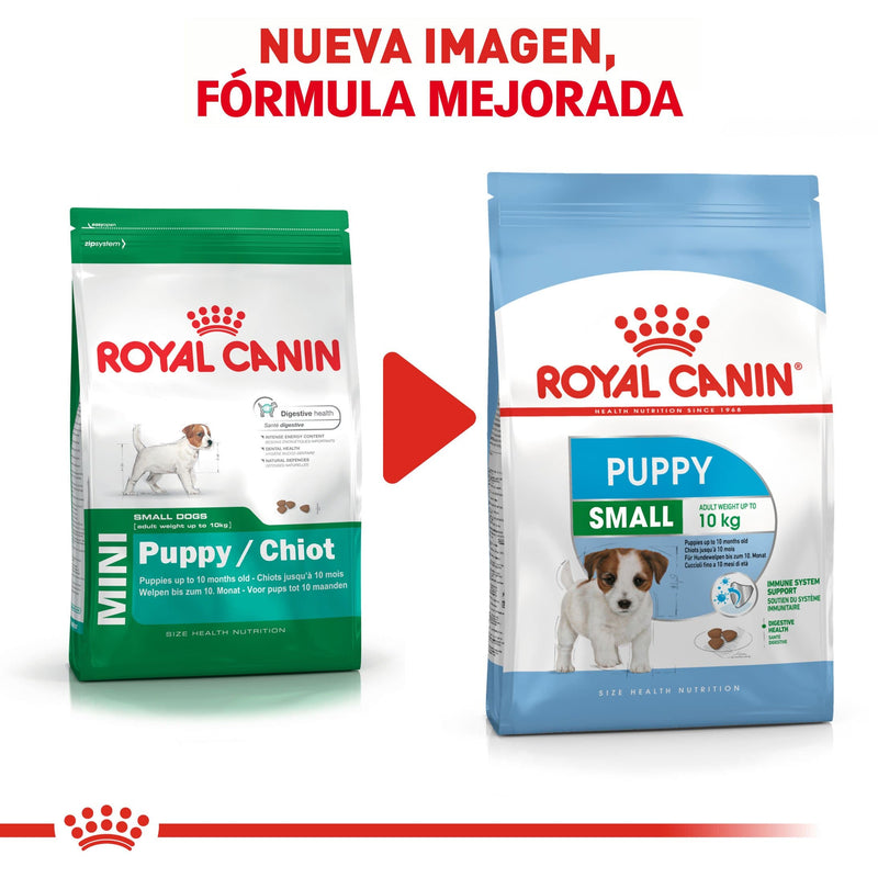 Royal Canin Small/Mini Puppy 1.1kg - Alimento Seco Perro Cachorro Raza Pequeña