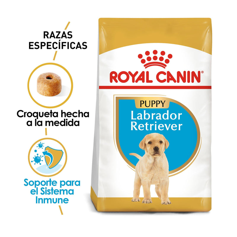 Royal Canin Labrador Retriever Puppy 13.63 kg - Alimento Seco Labrador Cachorro