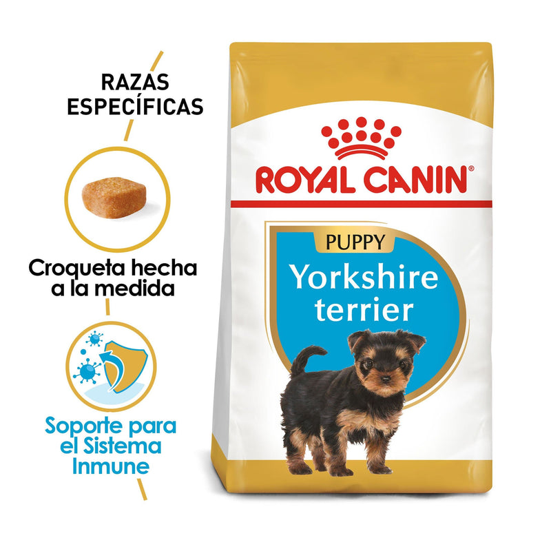 Royal Canin Yorkshire Terrier Puppy 1kg - Alimento Seco Yorkshire Terrier Cachorro