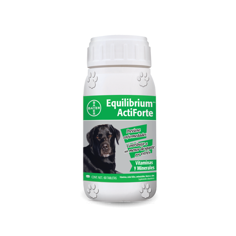Equilibrium Actiforte Suplemento 60 tabletas - Cuidado para Perro y Gato
