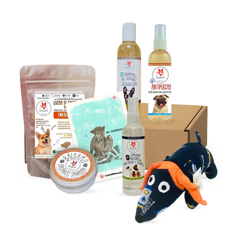 CuidaBox Defense - Juguete, Premios, Shampoo, Farmacia para perros