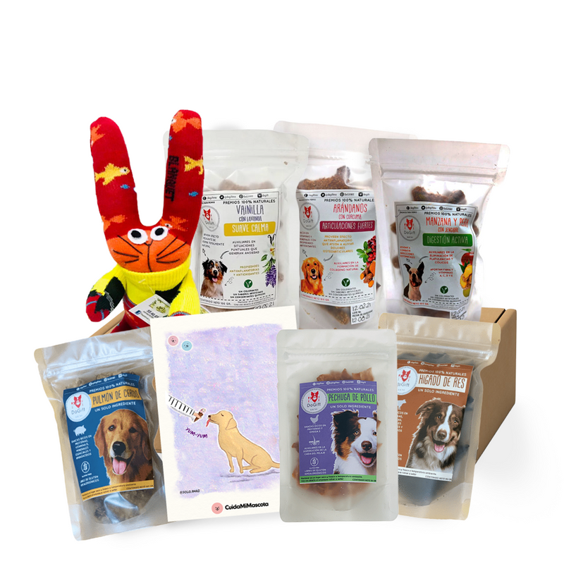 CuidaBox Yummy - Juguetes y Premios para perros