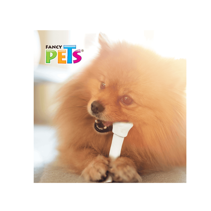 Fancy Pets Carnaza Dental 2 pz - Premios para Perro