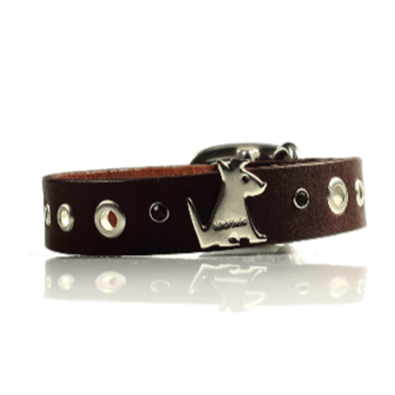 Tolome Collar Logo Silverbone para Perro - Accesorios