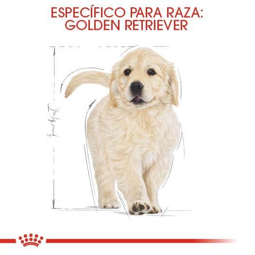 Royal Canin Golden Retriever Puppy 13.63 kg - Alimento Seco Golden Cachorro