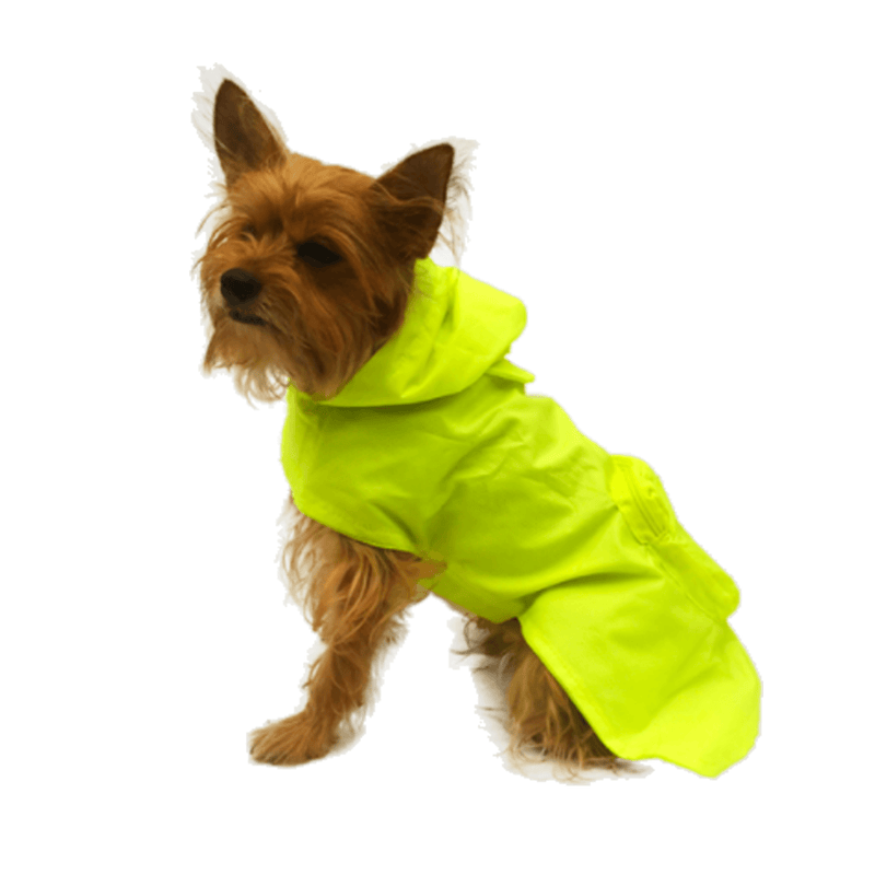 Impermeable Tortuga - Accesorios