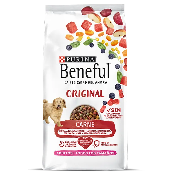 Purina beneful original hotsell